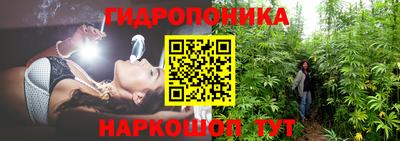 марки nbome Кингисепп