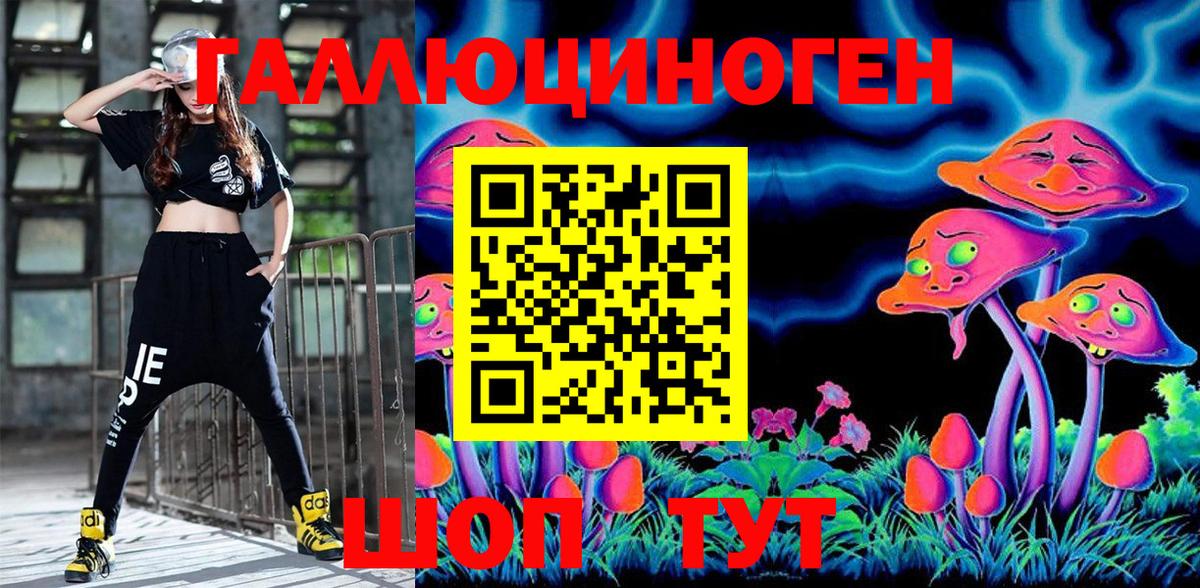 Королёв  Псилоцибиновые грибы Psilocybine cubensis  Вход с VPN  Галлюциногенные грибы ЛСД 